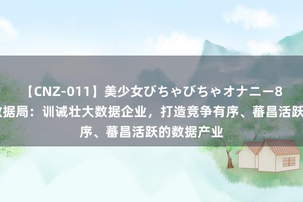 【CNZ-011】美少女びちゃびちゃオナニー8時間 国度数据局：训诫壮大数据企业，打造竞争有序、蕃昌活跃的数据产业