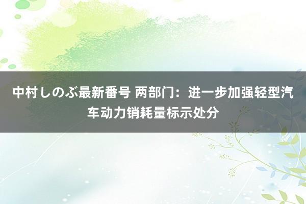 中村しのぶ最新番号 两部门：进一步加强轻型汽车动力销耗量标示处分