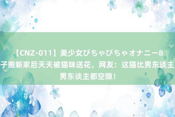 【CNZ-011】美少女びちゃびちゃオナニー8時間 妹子搬新家后天天被猫咪送花，网友：这猫比男东谈主都空隙！