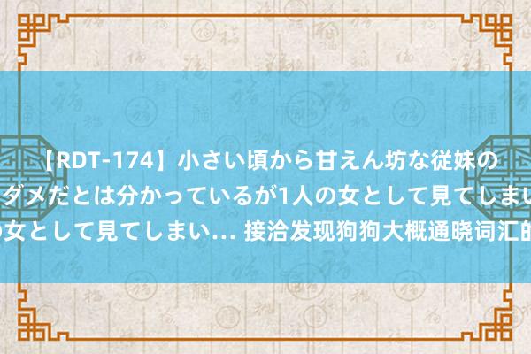 【RDT-174】小さい頃から甘えん坊な従妹の発育途中の躰が気になりダメだとは分かっているが1人の女として見てしまい… 接洽发现狗狗大概通晓词汇的兴致