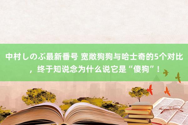 中村しのぶ最新番号 宽敞狗狗与哈士奇的5个对比，终于知说念为什么说它是“傻狗”！