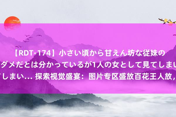 【RDT-174】小さい頃から甘えん坊な従妹の発育途中の躰が気になりダメだとは分かっているが1人の女として見てしまい… 探索视觉盛宴：图片专区盛放百花王人放，好意思景尽收眼底