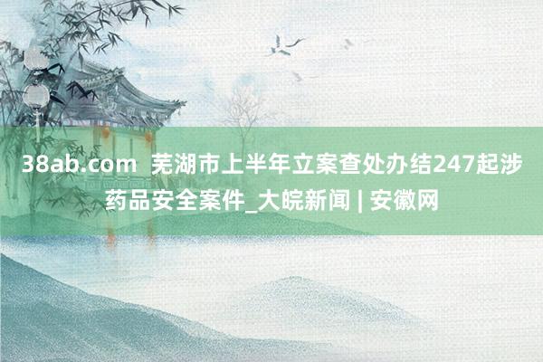 38ab.com  芜湖市上半年立案查处办结247起涉药品安全案件_大皖新闻 | 安徽网