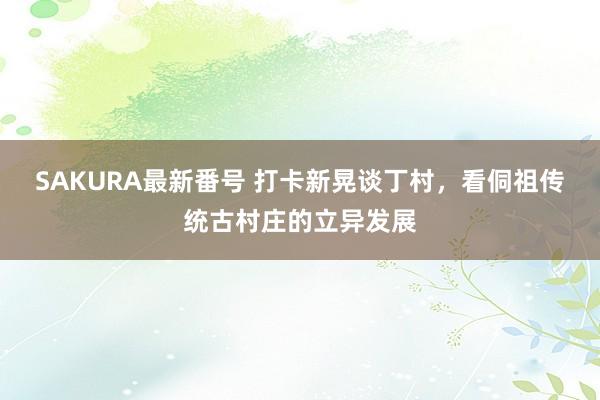 SAKURA最新番号 打卡新晃谈丁村，看侗祖传统古村庄的立异发展