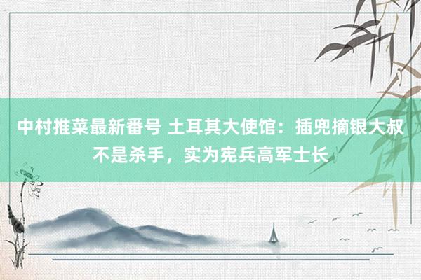 中村推菜最新番号 土耳其大使馆：插兜摘银大叔不是杀手，实为宪兵高军士长