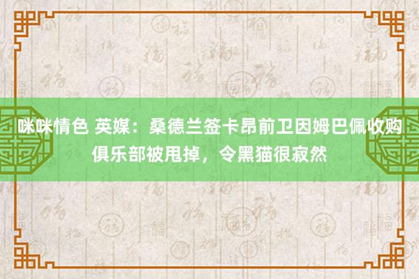 咪咪情色 英媒：桑德兰签卡昂前卫因姆巴佩收购俱乐部被甩掉，令黑猫很寂然