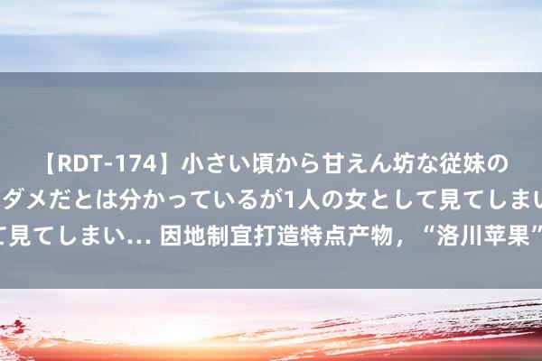 【RDT-174】小さい頃から甘えん坊な従妹の発育途中の躰が気になりダメだとは分かっているが1人の女として見てしまい… 因地制宜打造特点产物，“洛川苹果”让农民富起来