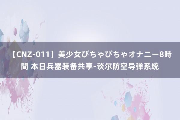 【CNZ-011】美少女びちゃびちゃオナニー8時間 本日兵器装备共享-谈尔防空导弹系统