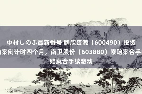 中村しのぶ最新番号 鹏欣资源（600490）投资者索赔案倒计时四个月，南卫股份（603880）索赔案合手续激动