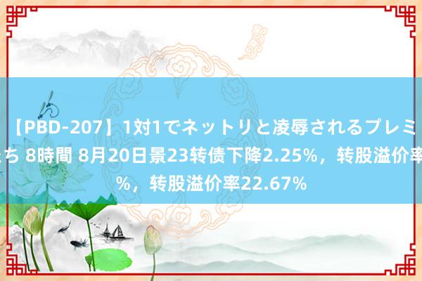 【PBD-207】1対1でネットリと凌辱されるプレミア女優たち 8時間 8月20日景23转债下降2.25%，转股溢价率22.67%