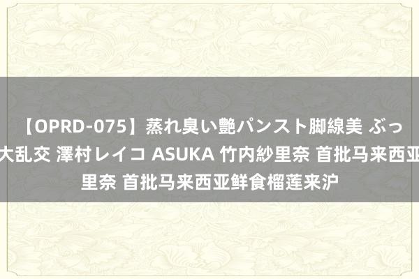 【OPRD-075】蒸れ臭い艶パンスト脚線美 ぶっかけゴックン大乱交 澤村レイコ ASUKA 竹内紗里奈 首批马来西亚鲜食榴莲来沪