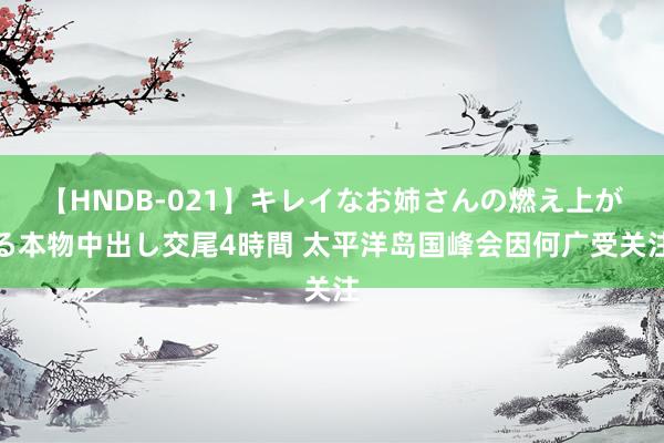 【HNDB-021】キレイなお姉さんの燃え上がる本物中出し交尾4時間 太平洋岛国峰会因何广受关注