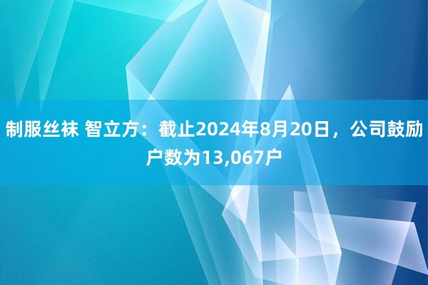 制服丝袜 智立方：截止2024年8月20日，公司鼓励户数为13，067户