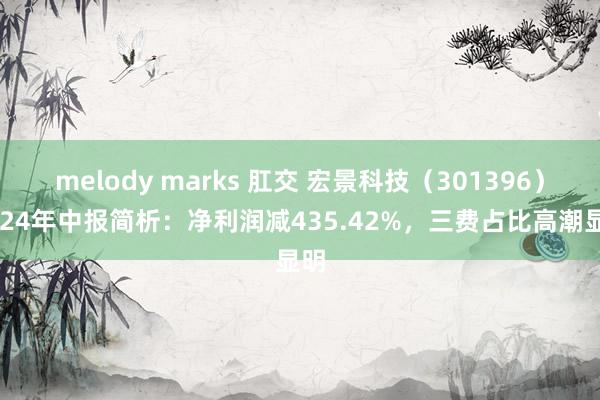 melody marks 肛交 宏景科技（301396）2024年中报简析：净利润减435.42%，三费占比高潮显明