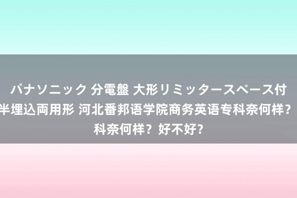 パナソニック 分電盤 大形リミッタースペース付 露出・半埋込両用形 河北番邦语学院商务英语专科奈何样？好不好？