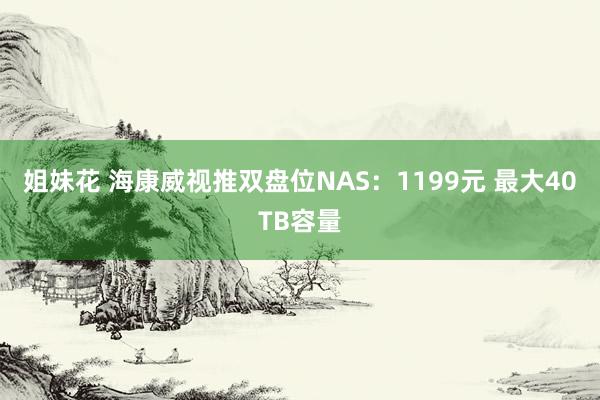 姐妹花 海康威视推双盘位NAS：1199元 最大40TB容量