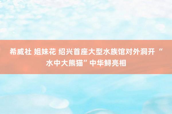 希威社 姐妹花 绍兴首座大型水族馆对外洞开 “水中大熊猫”中华鲟亮相