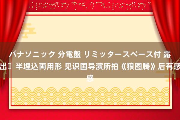 パナソニック 分電盤 リミッタースペース付 露出・半埋込両用形 见识国导演所拍《狼图腾》后有感