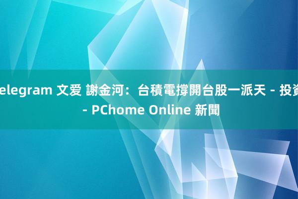 telegram 文爱 謝金河：台積電撐開台股一派天 - 投資 - PChome Online 新聞