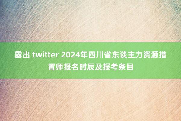 露出 twitter 2024年四川省东谈主力资源措置师报名时辰及报考条目