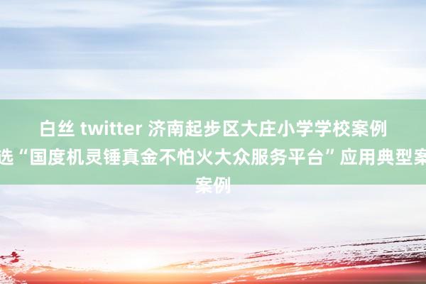 白丝 twitter 济南起步区大庄小学学校案例入选“国度机灵锤真金不怕火大众服务平台”应用典型案例