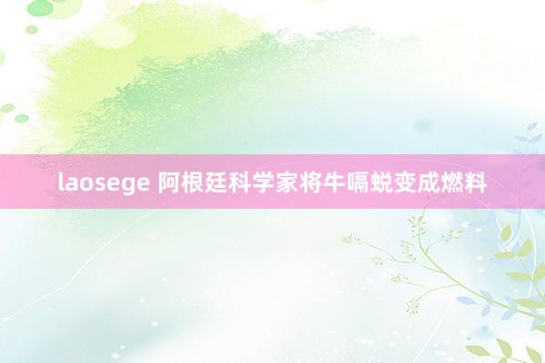 laosege 阿根廷科学家将牛嗝蜕变成燃料